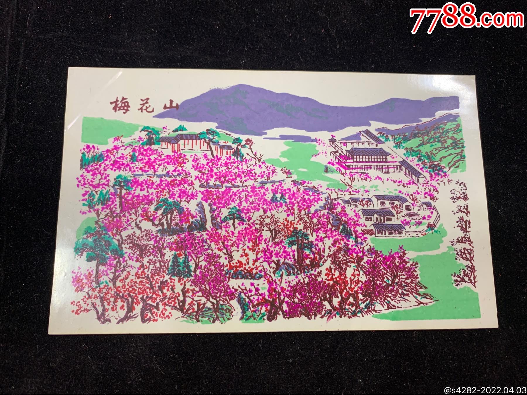 南京梅花山超大塑料票