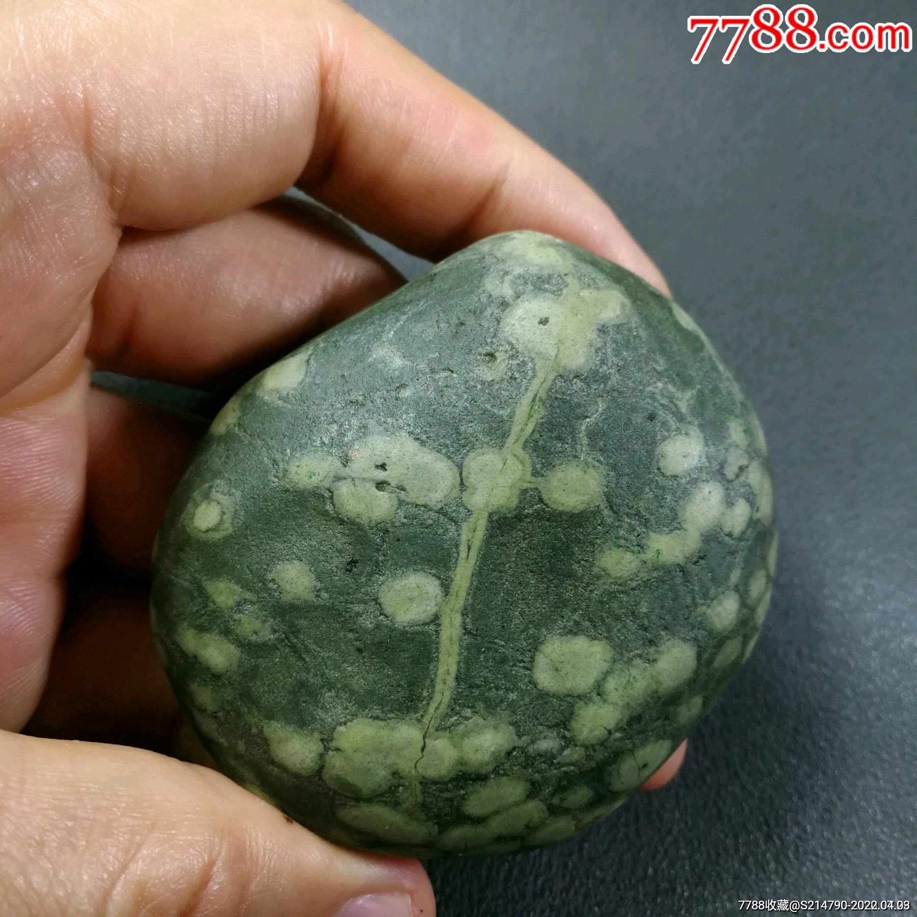 长江石绿泥石有一棵树图案