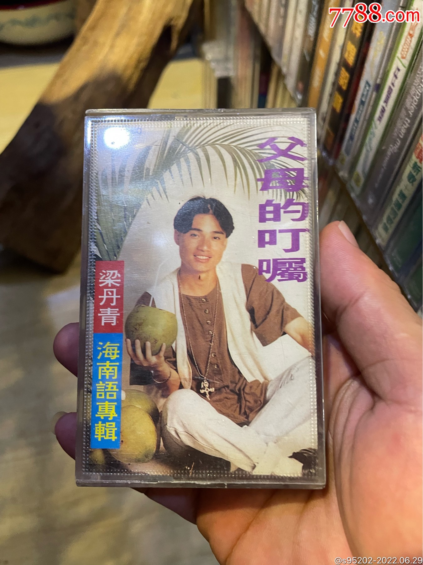 海南话歌曲梁丹青父母的叮嘱