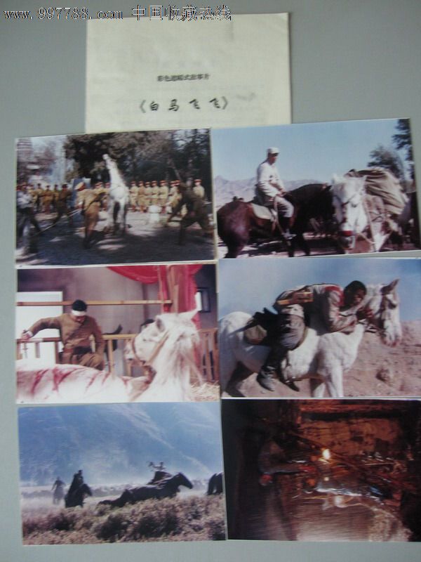 白马飞飞--导演:张子恩,主演:叶晖,王大志,田钱志,苗圃.