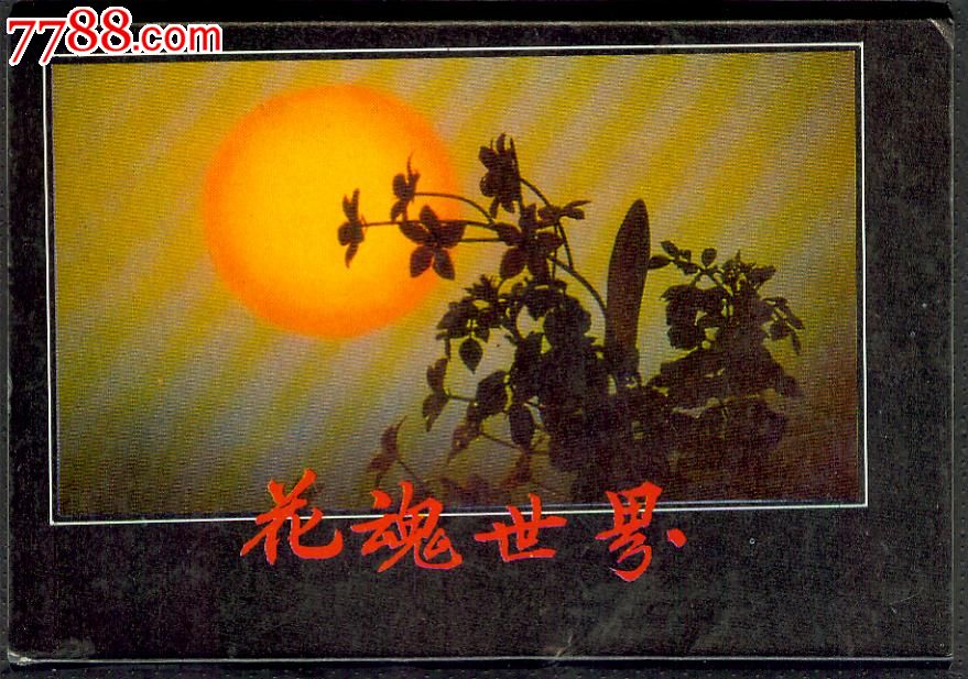 "花魂"美术明信片10全