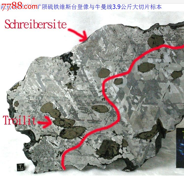 南丹富磷铁镍矿陨硫铁维斯台登像与牛曼文线39公斤大切片标本