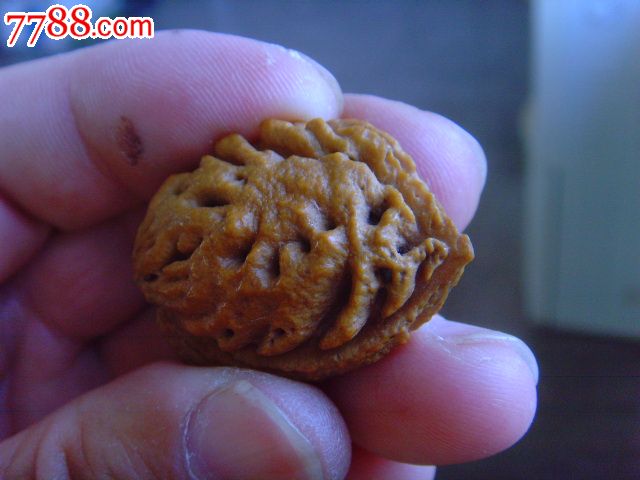 把玩多年的带有天然鱼和老人头图案的桃核