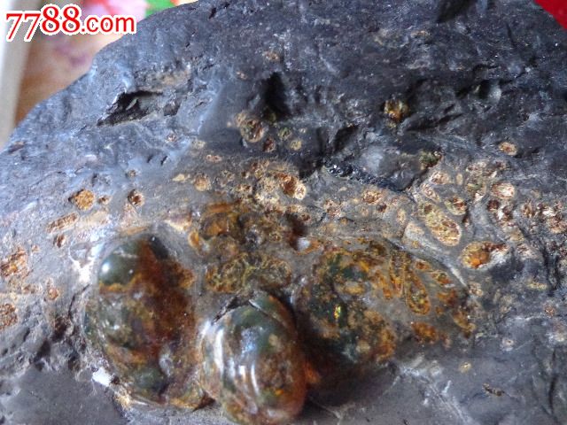 辽宁抚顺带大块天然琥珀的原石标本