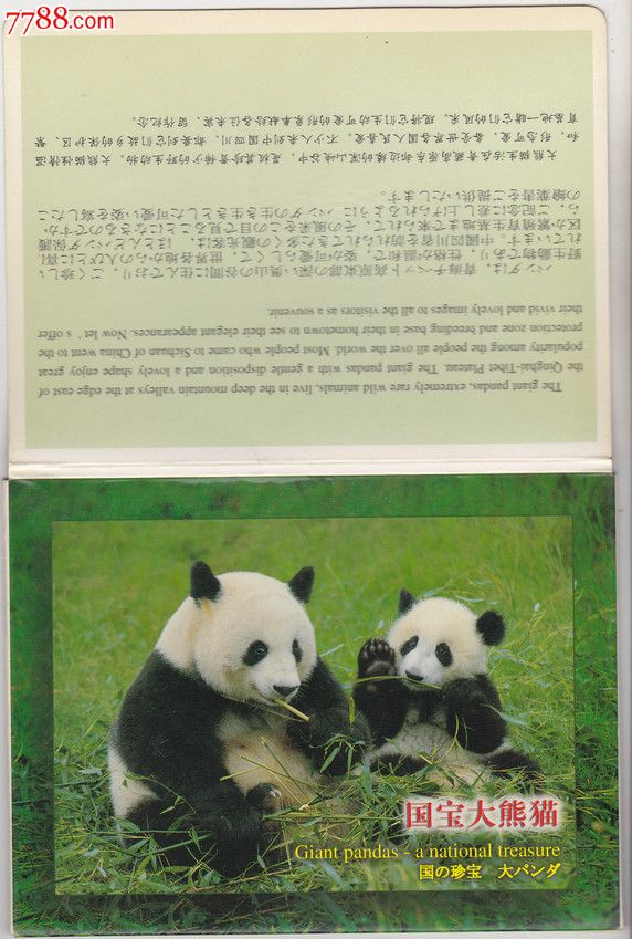 明信片国宝大熊猫12枚