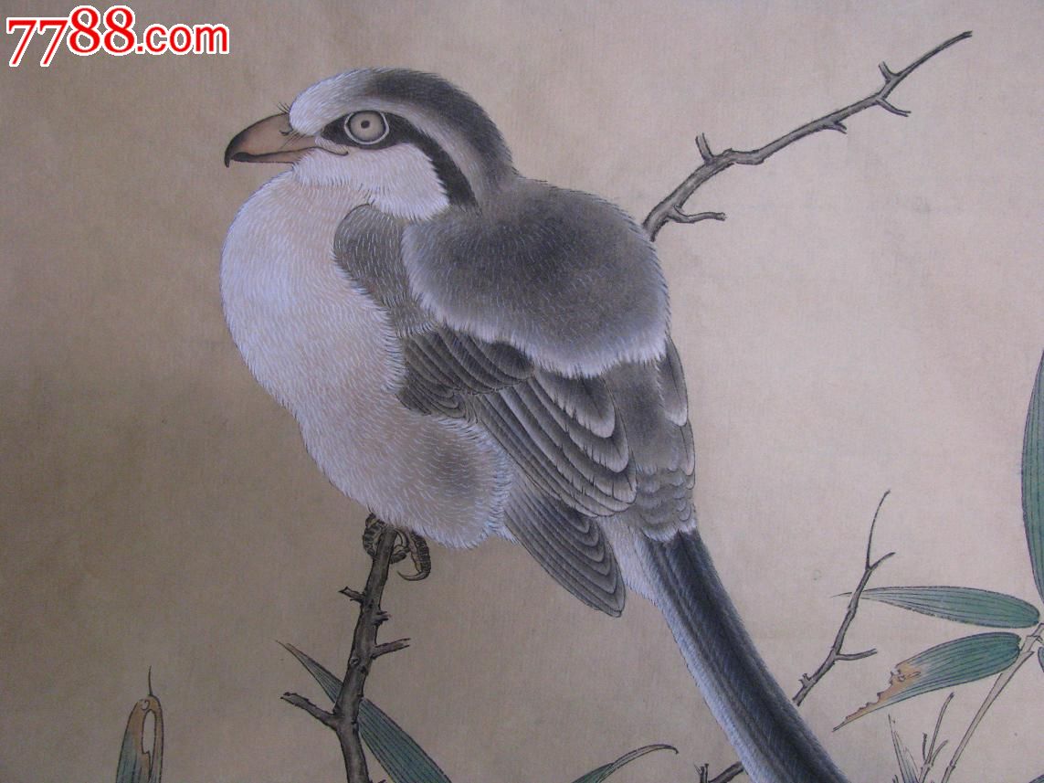 古画工笔画花鸟小品,纯手绘原作原画原稿