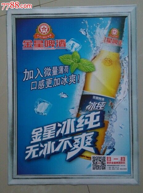 金星啤酒—4开宣传画