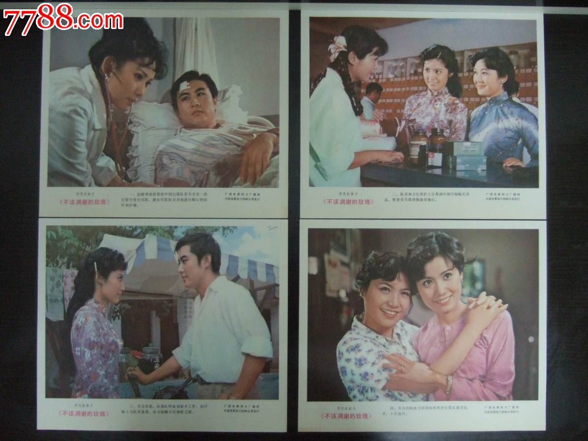 不该凋谢的玫瑰