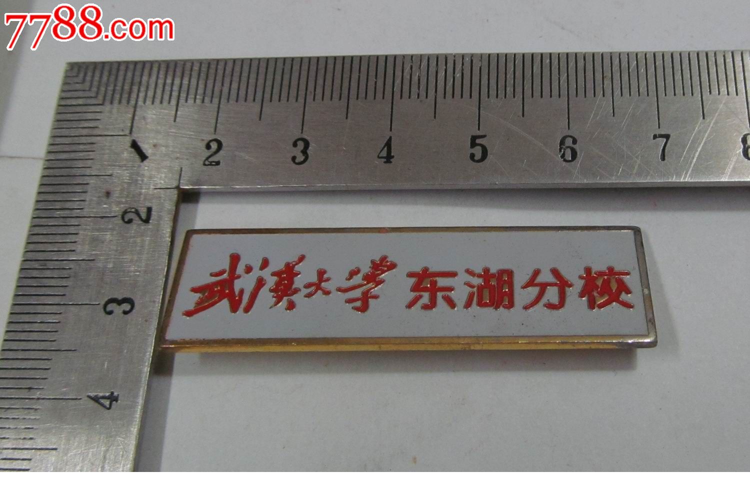 校徽:武汉大学东湖分校