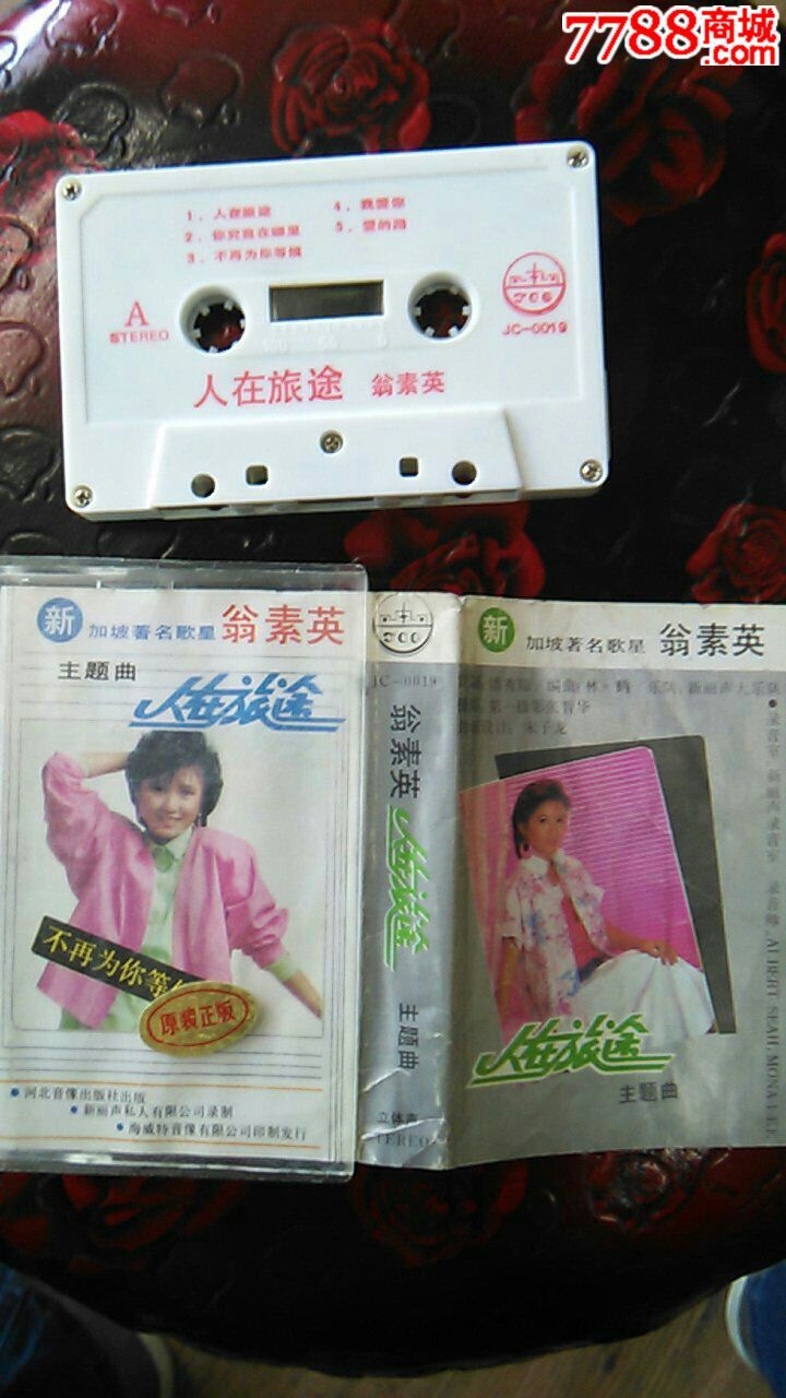 人在旅途主题曲一翁素英