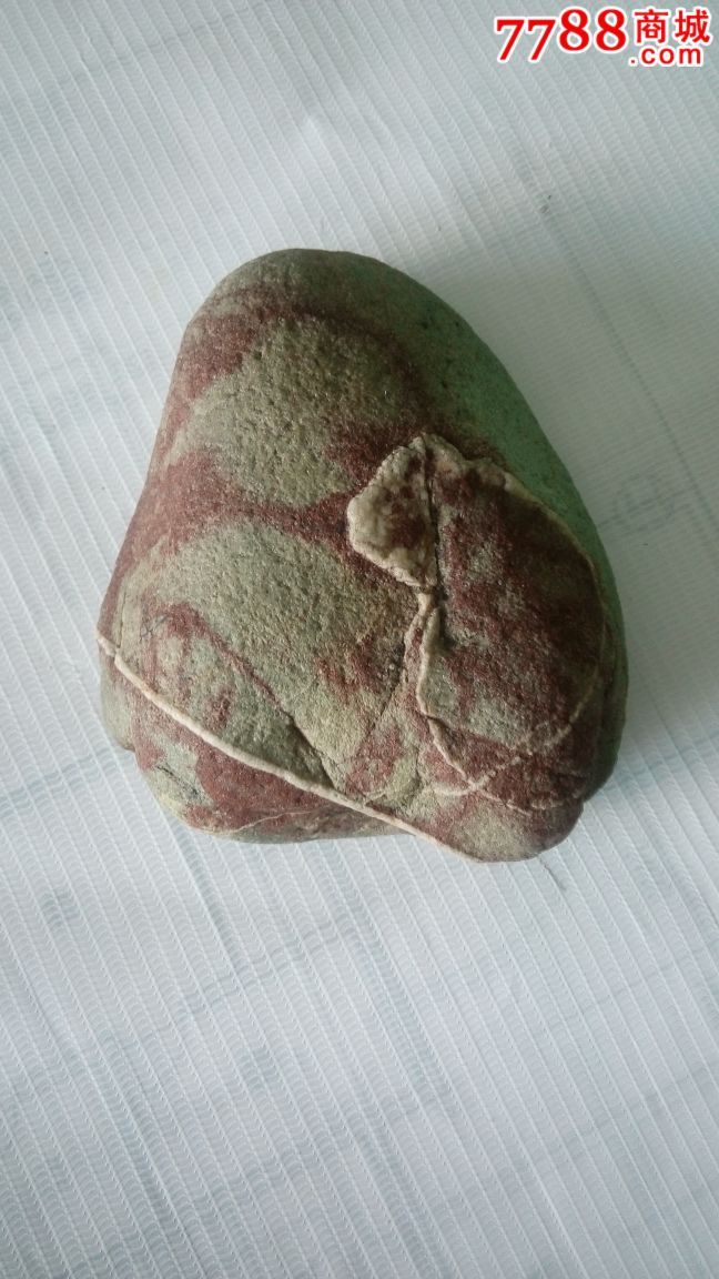 长江石,原石,白熊,收藏品