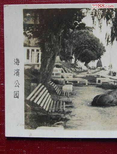 海宁盐官——海滨公园(观潮胜地公园)镇海铁牛【档案级,民国老照片】