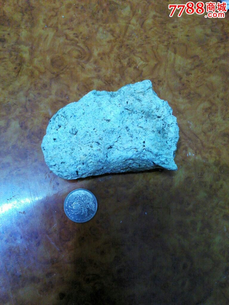 天然白色龙涎香原料/ambergris