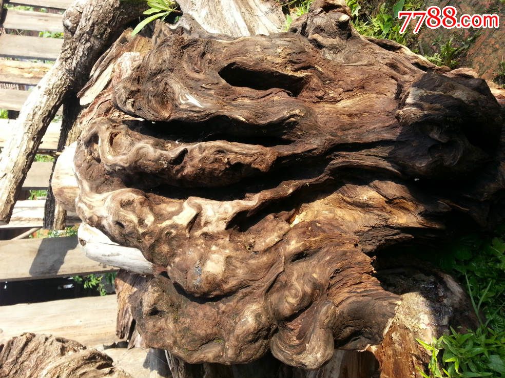 琥珀木极品瘤花料
