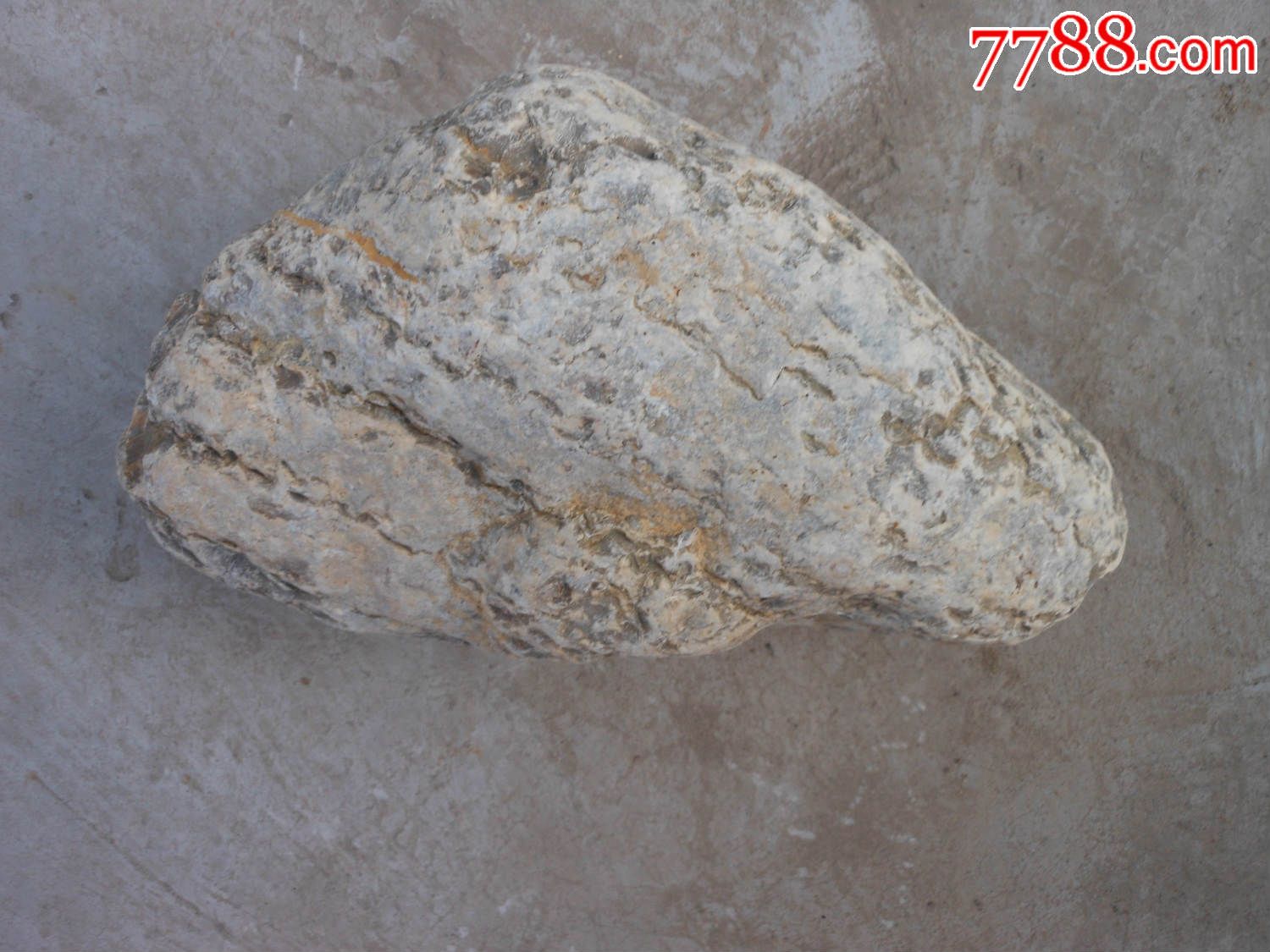 天然奇石摆件原石;晋南鱼籽石22厘米*12厘米*7厘米重6斤半