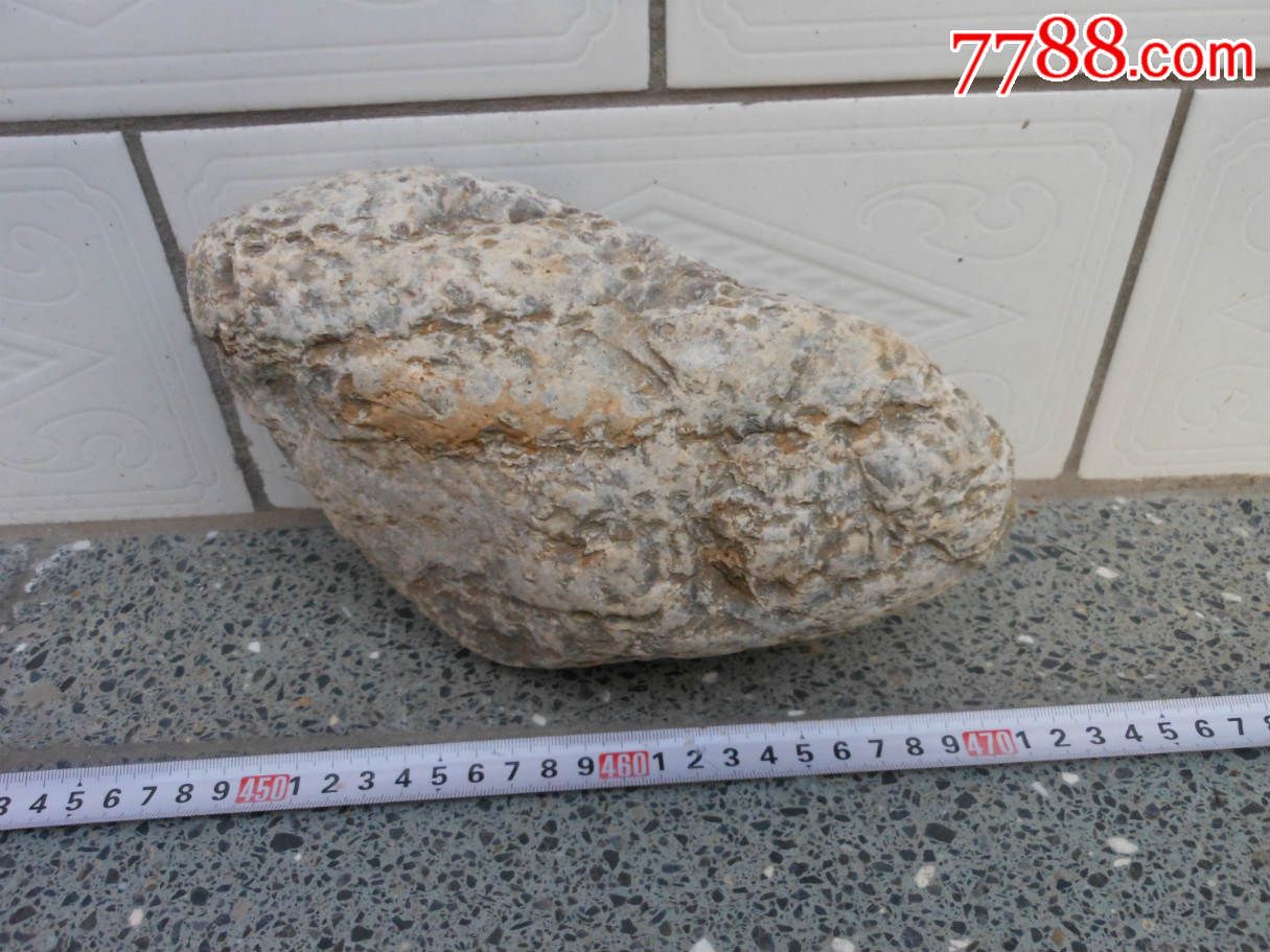 天然奇石摆件原石;晋南鱼籽石22厘米*12厘米*7厘米重6斤半