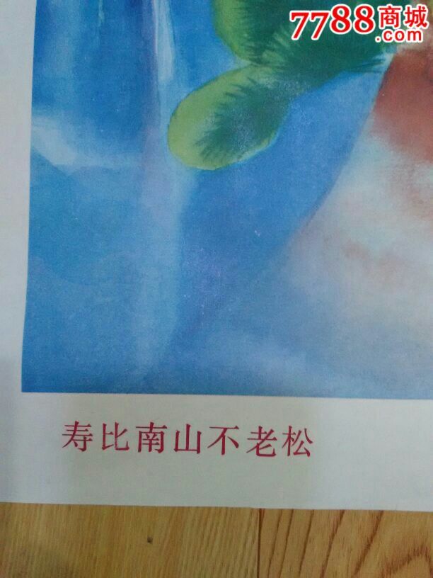 年画寿比南山不老松童金贵童红作
