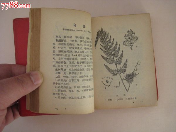 常用中草药_医书/药书_第5张_7788相机收藏