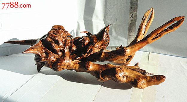 麻梨疙瘩鼠李木寄居