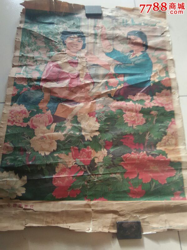 70年代山东巨野县宣传画今朝花更红7453