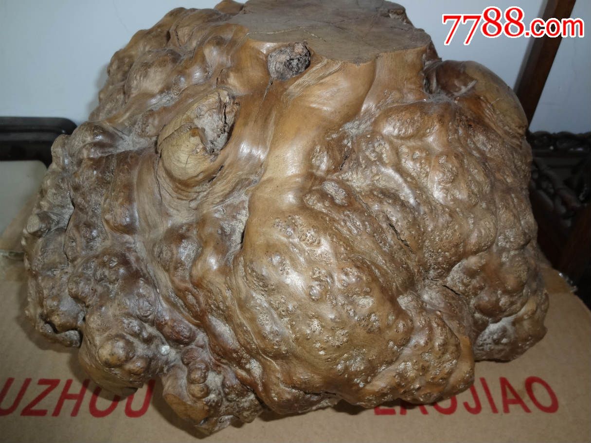 树瘤子底座纹理非常漂亮底部有珍贵的木抱石