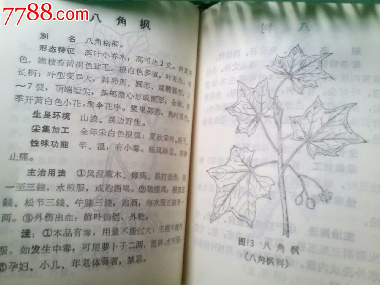 湖北恩施中草药手册精品