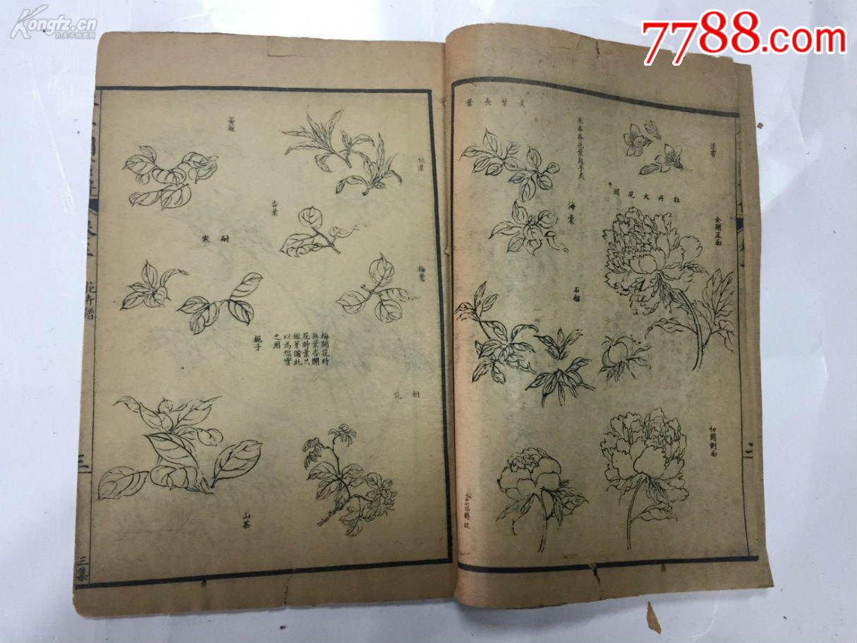 精美石印本《芥子园画谱》花卉翎毛谱三集卷三卷四,内容精美值得收藏