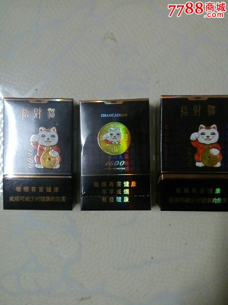 好猫:招财猫