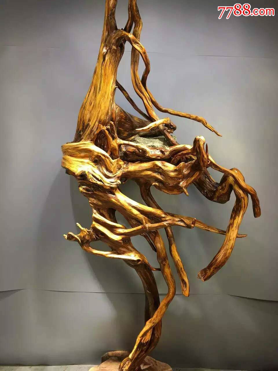 首页 零售 木雕摆件 崖柏根雕:达摩悟枯禅滚动