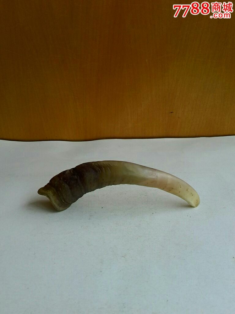 纯天然羊角纯手工打磨按摩把件.