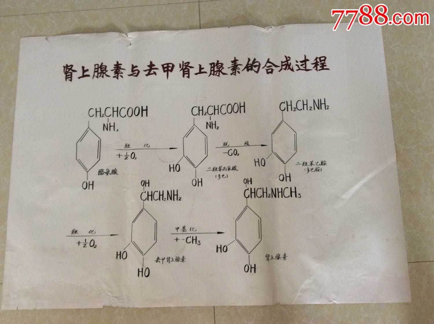 【医学原手稿】肾上腺素与去甲肾上腺素的合成过程【二号卷内】