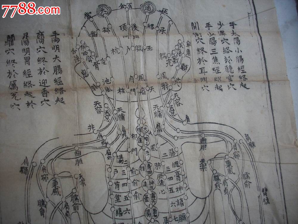 清代木刻【脏腑明堂图"和"伏人明堂图】2张!每张尺寸80/28厘米