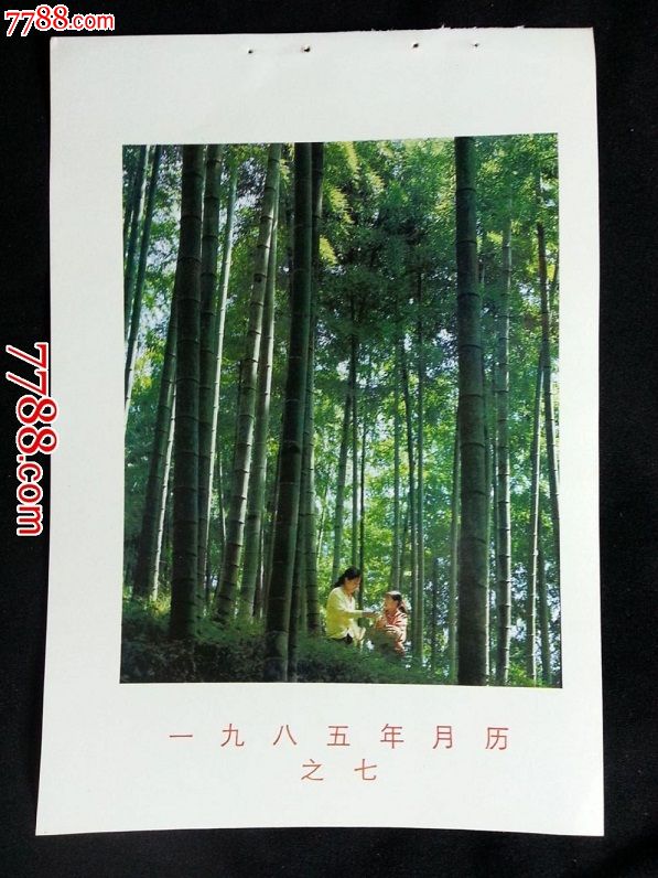 年画风景画缩样竹林牛嵩林摄1985年中国旅游版34开