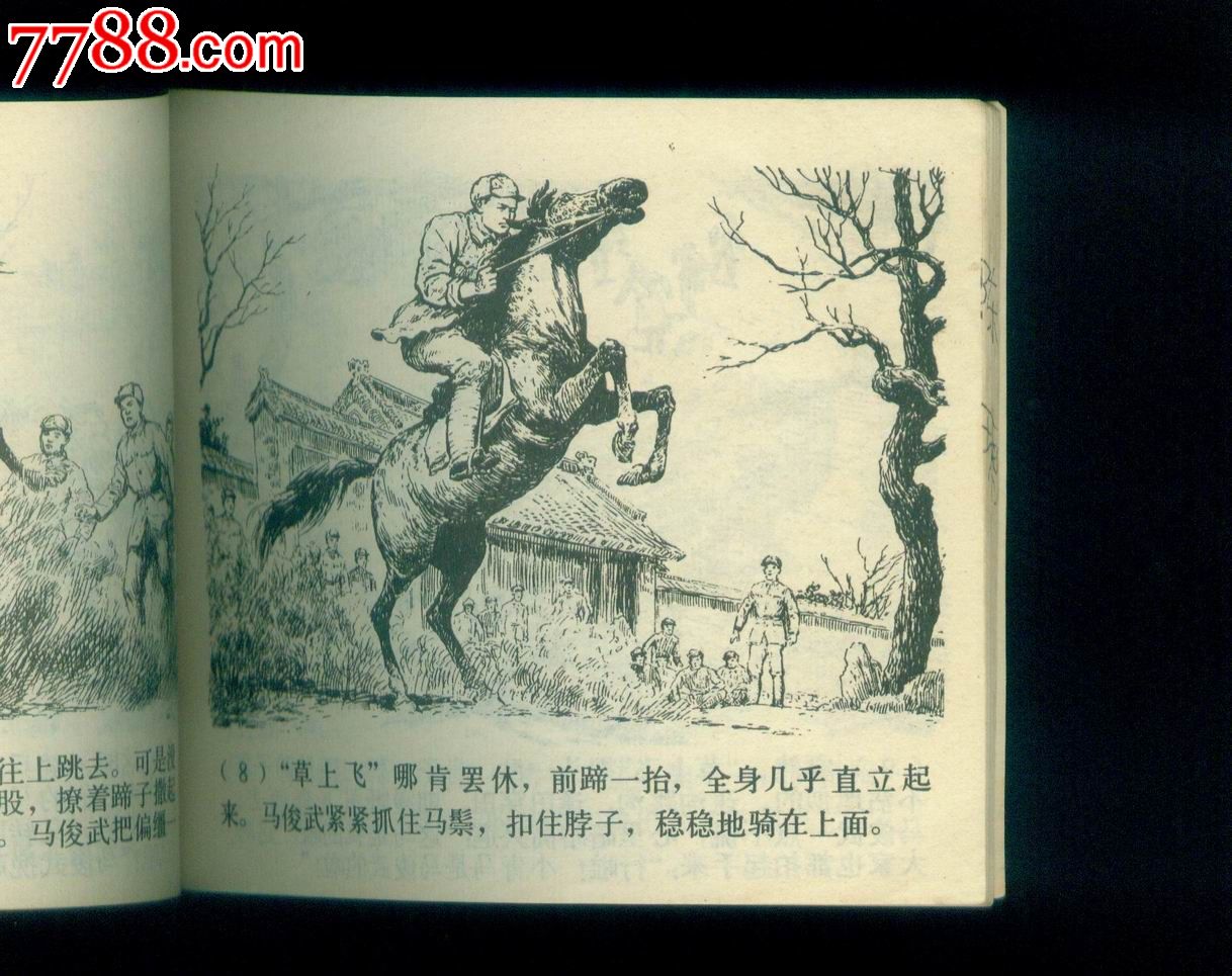 草上飞
