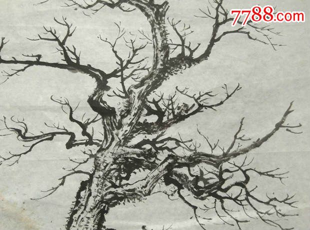 精美的手绘苍劲老树水墨画