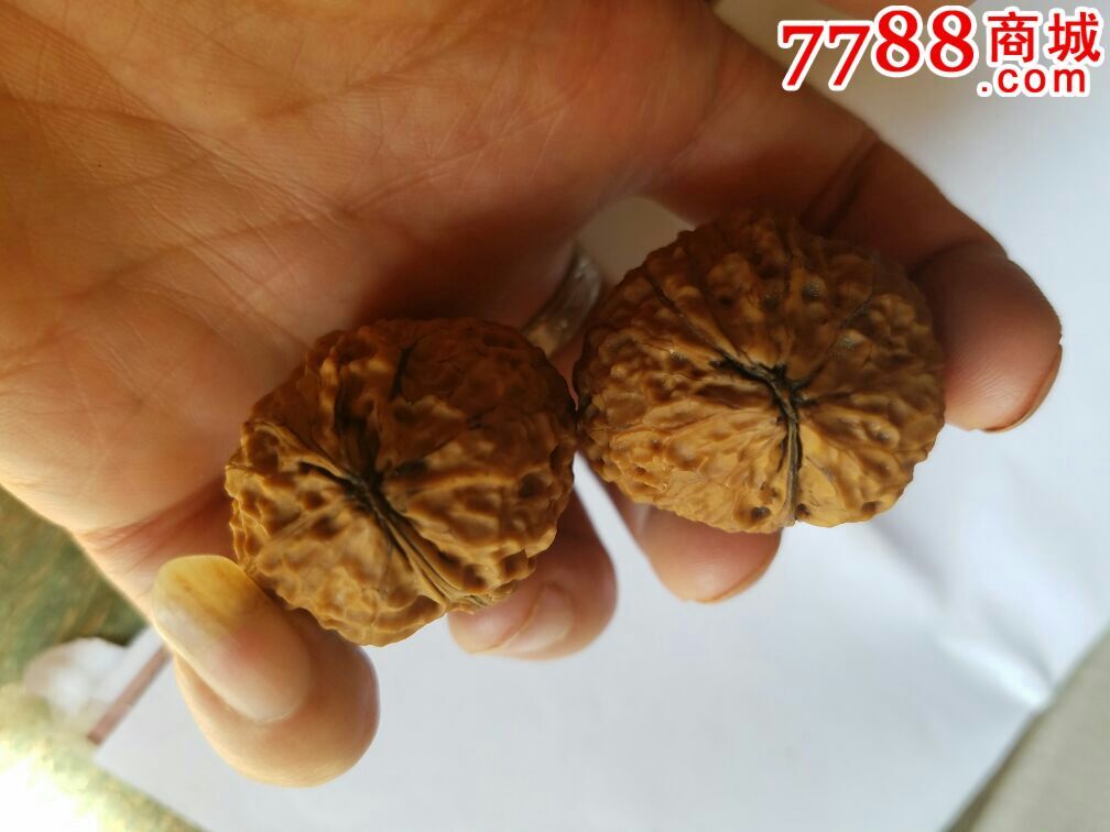 云南铁核桃