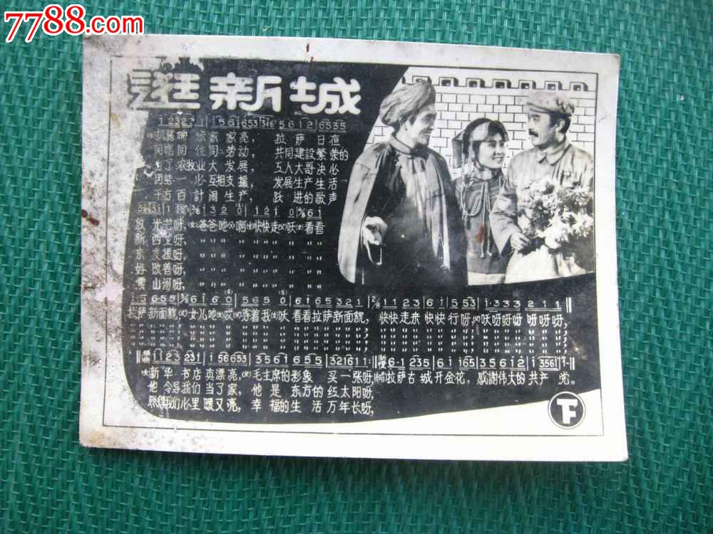 逛新城