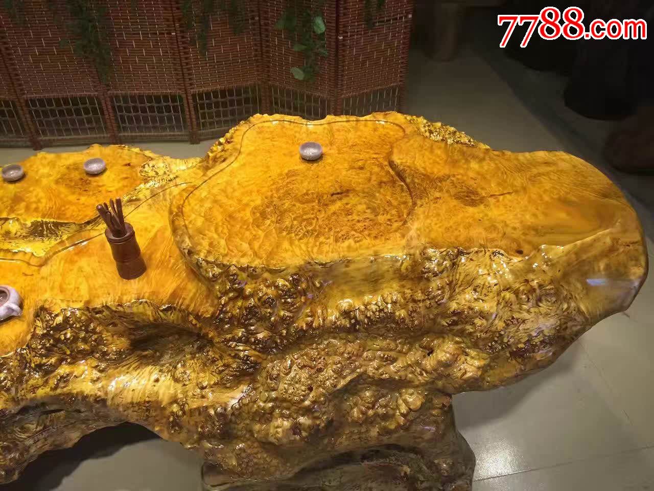 极品缅甸黄金樟大茶台