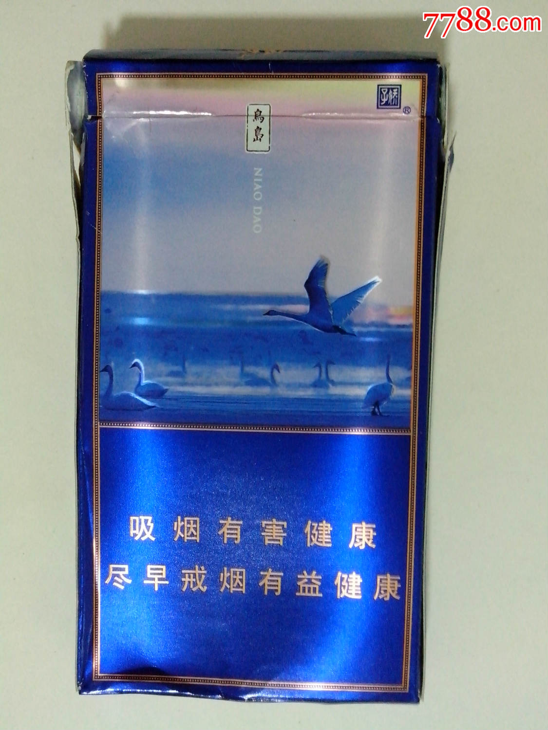 娇子(青海湖)