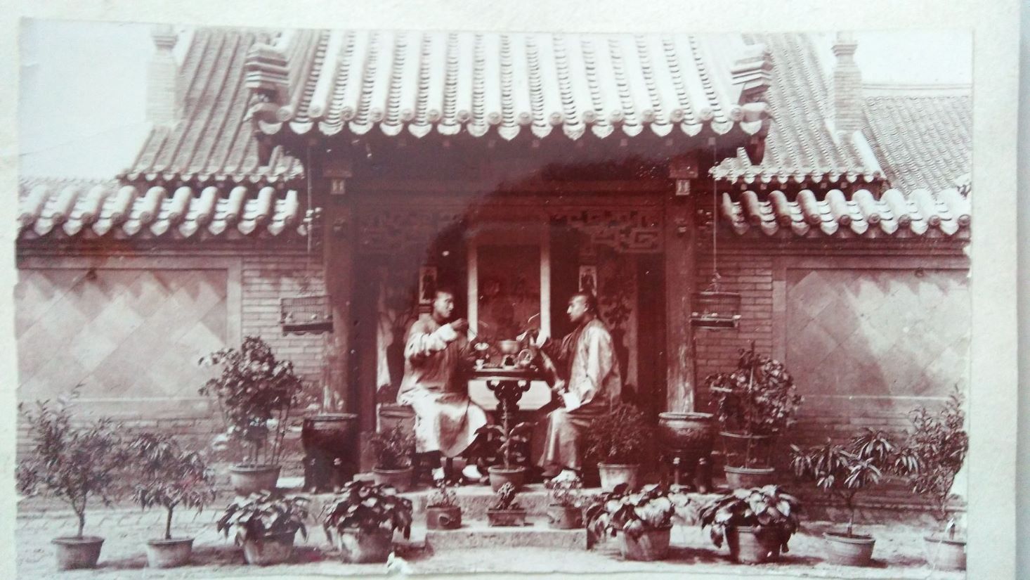 清朝老照片《四合院，遛鸟，火锅，盆景》