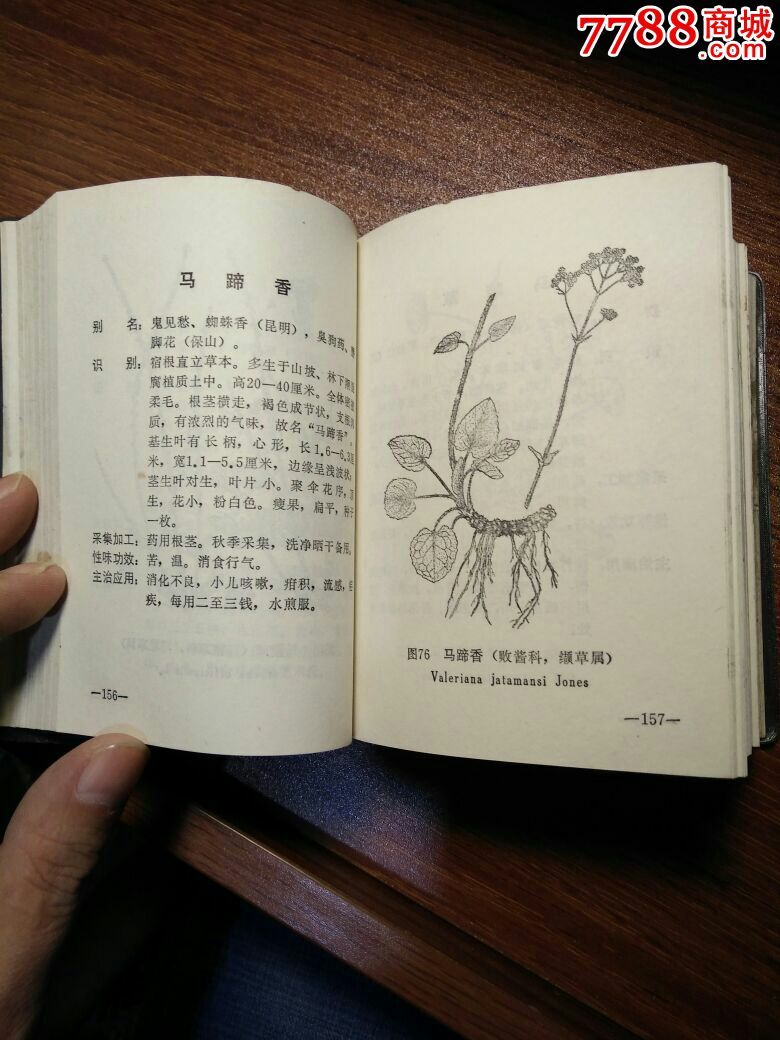 云南中草药_医书/药书_第4张_7788书籍