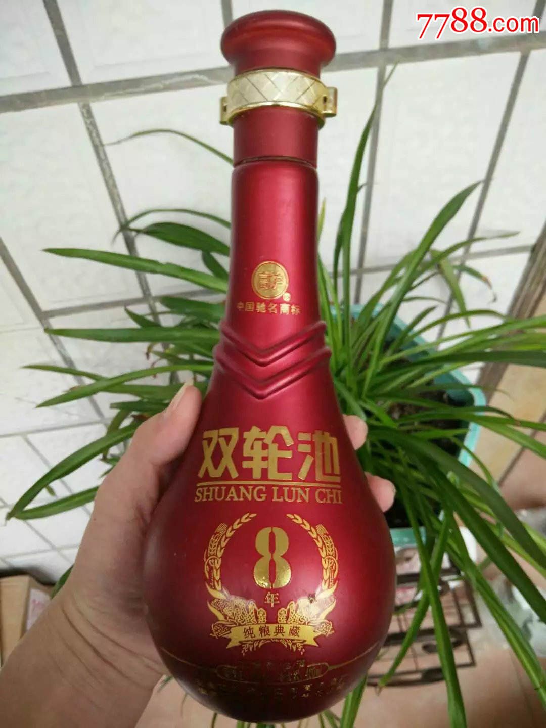 双轮池酒瓶