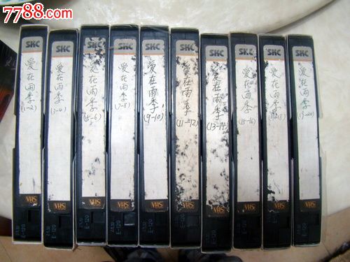 内地电视剧(爱在雨季)1-20集成套。