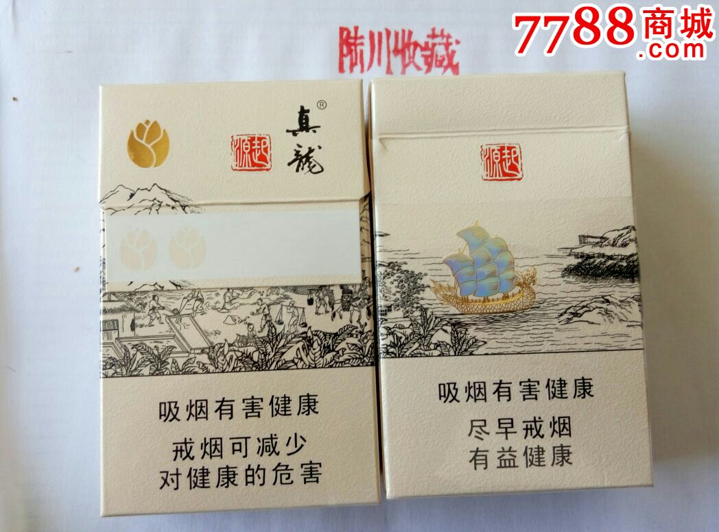 真龙(起源)金花茶版(二维码)2朵金花