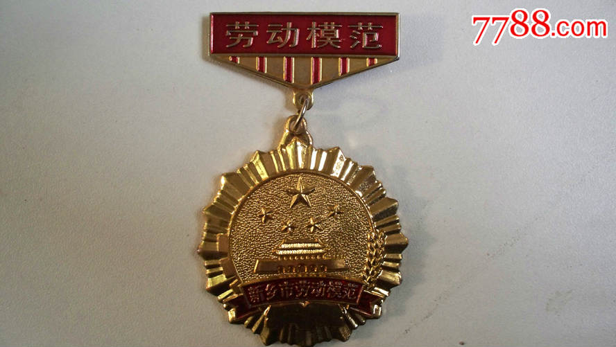 2006年新乡市人民政府颁发"新乡市劳动模范"奖章一枚