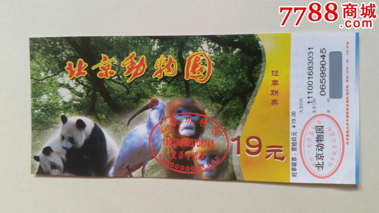 北京动物园门票熊猫