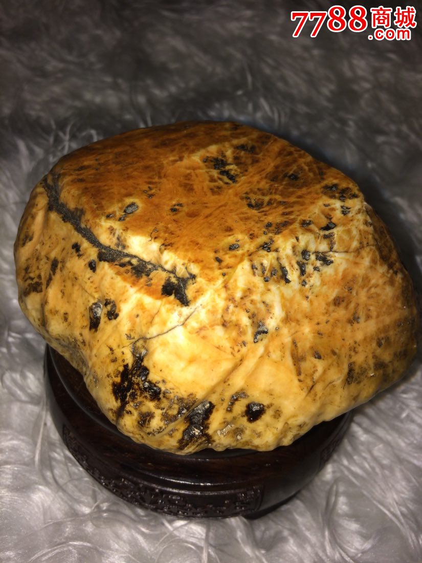 新疆戈壁玉金丝玉沙漠漆原石仔料