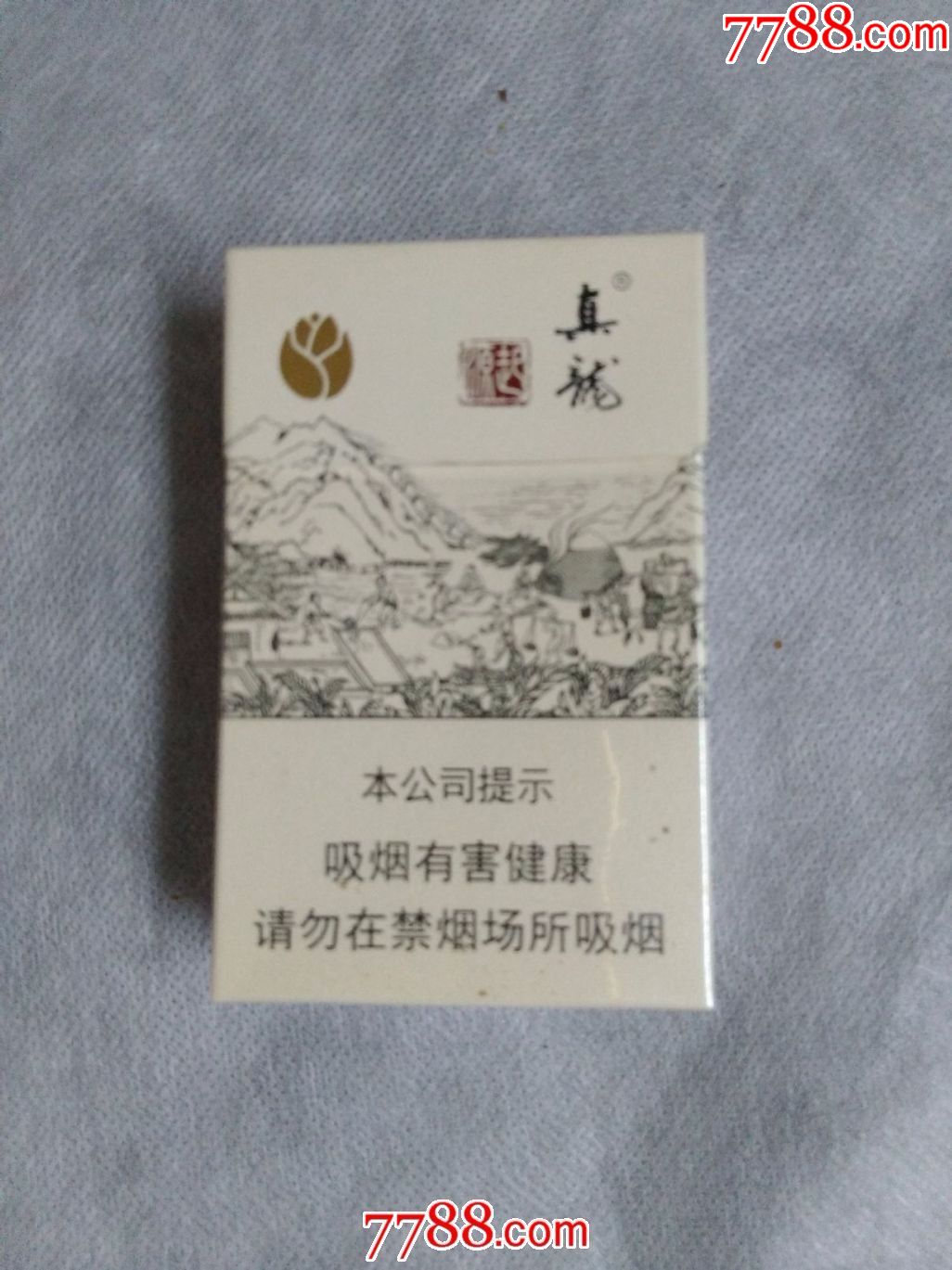 真龙起源16版