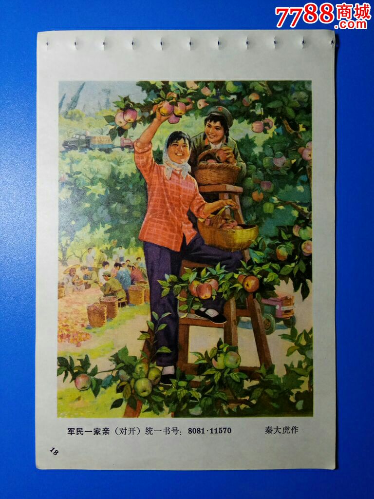 军民一家亲(摘苹果)--秦大虎作