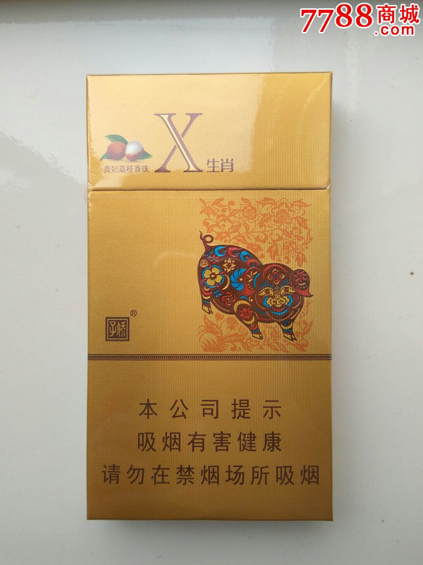 娇子--生肖猪